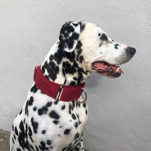 Load image into Gallery viewer, Red Martingale