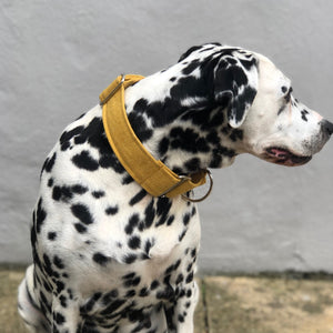 Mustard Martingale