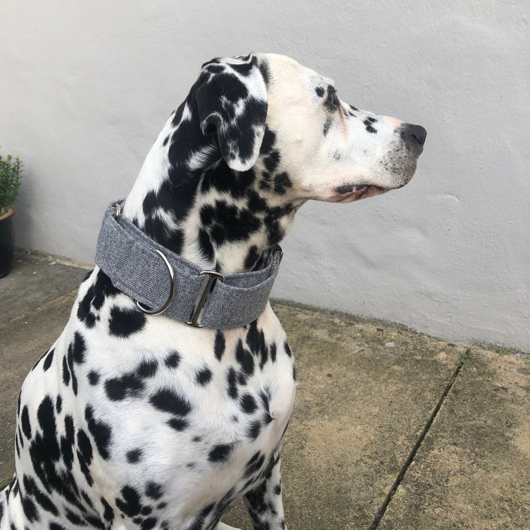 Grey Martingale
