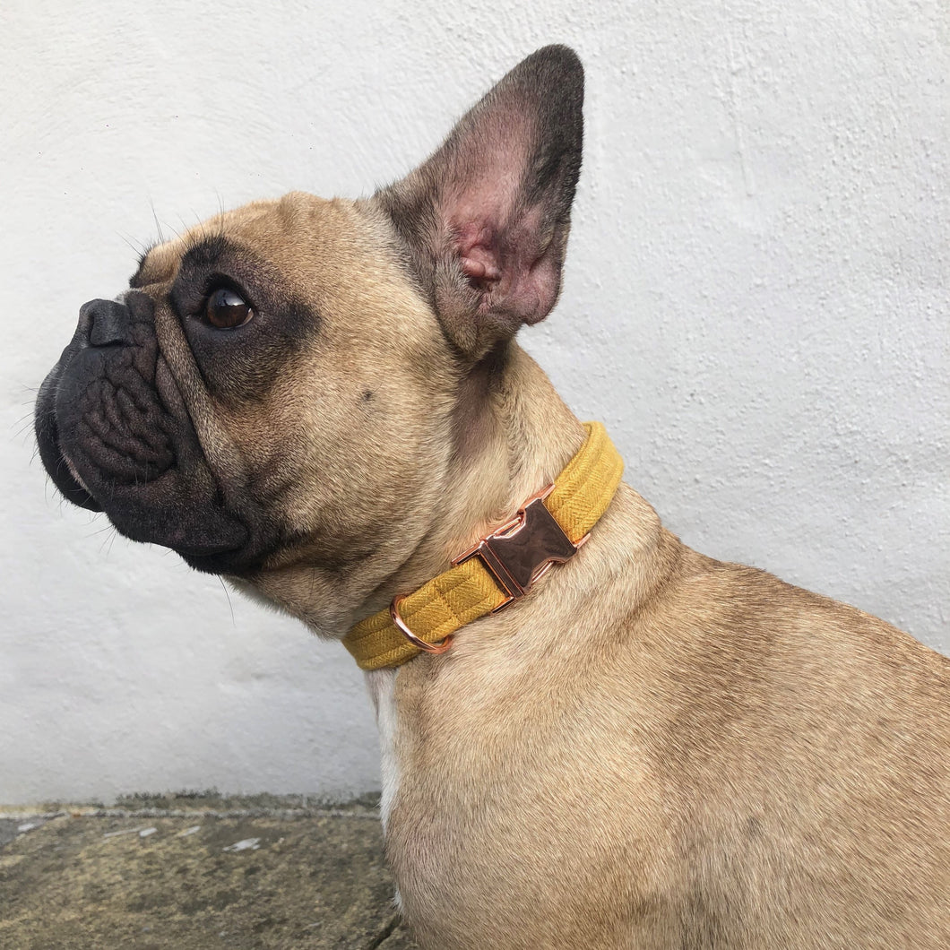 Mustard and Rose Gold Collar